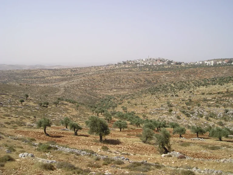 Israeli Settlers Attack European Diplomats in Taybeh, West Bank